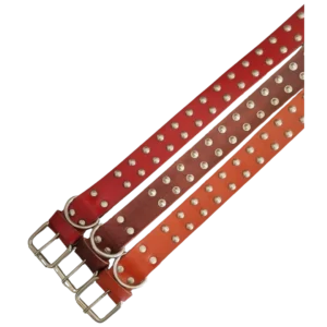 Collar grande para perro con adornos