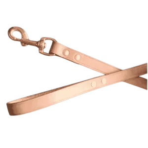 Traílla larga 180cm